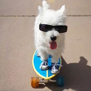 Meet your Posher, Emma caroline